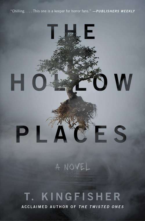 Book cover of The Hollow Places: A Novel