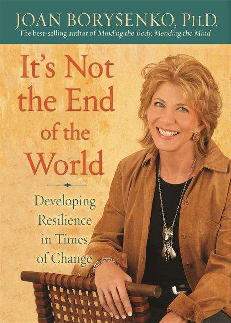 Book cover of It's Not the End of the World: Developing Resilience in Times of Change