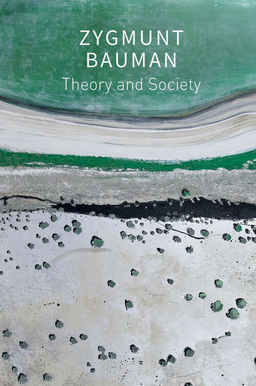Book cover of Theory and Society: Selected Writings, Volume 3