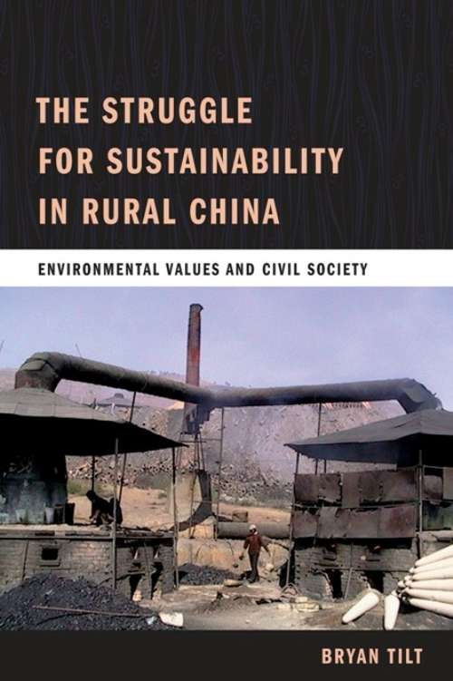 Book cover of The Struggle for Sustainability in Rural China: Environmental Values and Civil Society