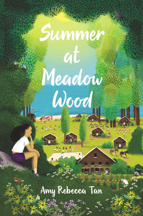 Book cover of Summer at Meadow Wood