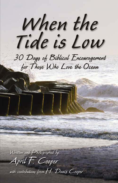 Book cover of When the Tide is Low: 30 Days of Biblical Encouragement for Those Who Love the Ocean