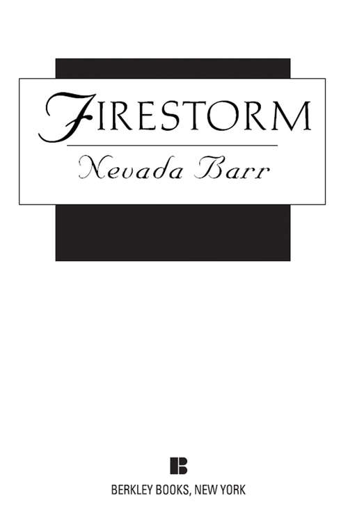 Book cover of Firestorm (An Anna Pigeon Novel #4)