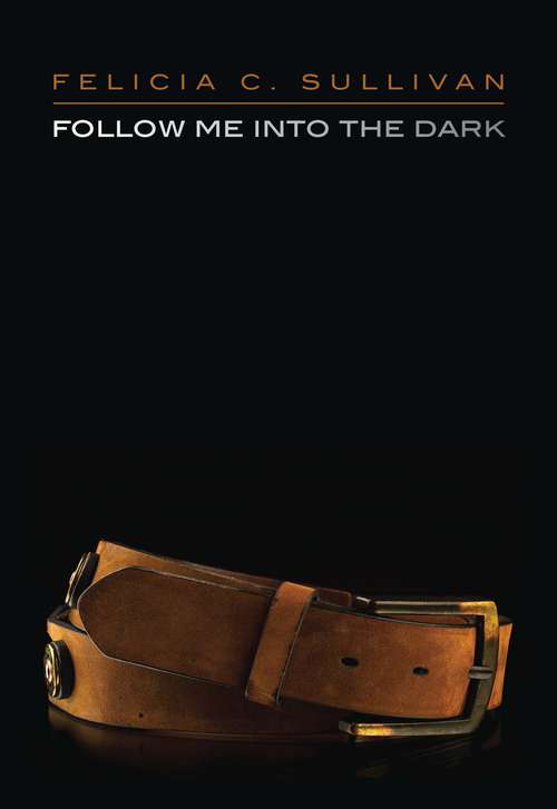 Book cover of Follow Me into the Dark