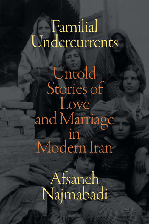 Book cover of Familial Undercurrents: Untold Stories of Love and Marriage in Modern Iran