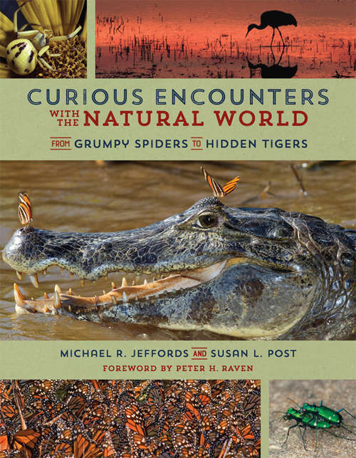 Book cover of Curious Encounters with the Natural World: From Grumpy Spiders to Hidden Tigers