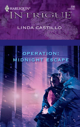 Book cover of Operation: Midnight Escape