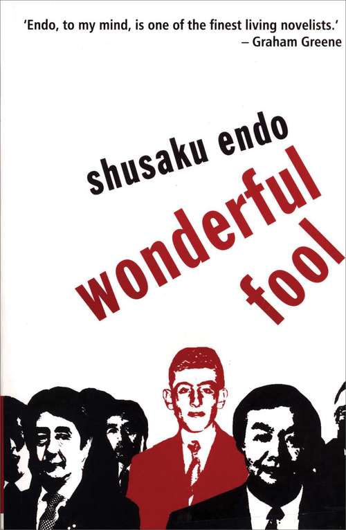 Book cover of Wonderful Fool