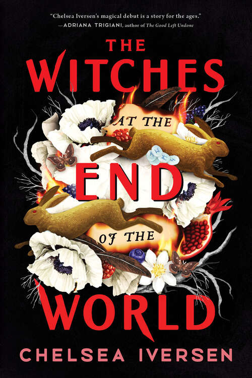 Book cover of The Witches at the End of the World