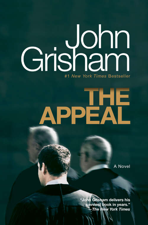 Book cover of The Appeal: A Novel