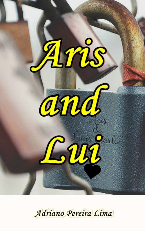 Book cover of The padlock of love