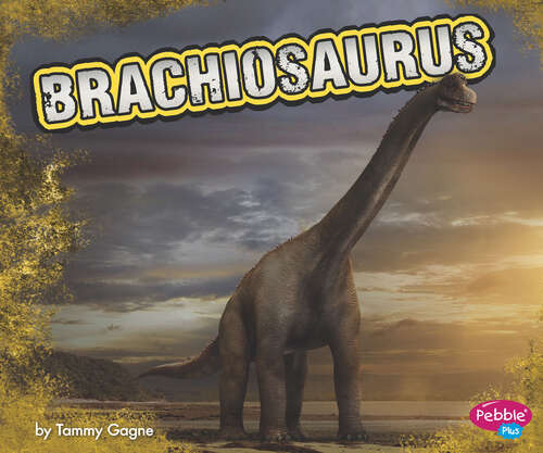 Book cover of Brachiosaurus: A 4d Book (Dinosaurs Ser.)