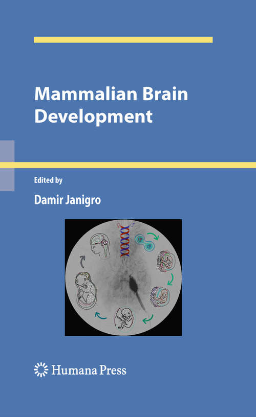 Book cover of Mammalian Brain Development