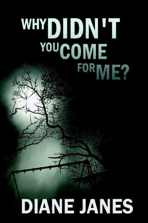 Book cover of Why Didn't You Come for Me?