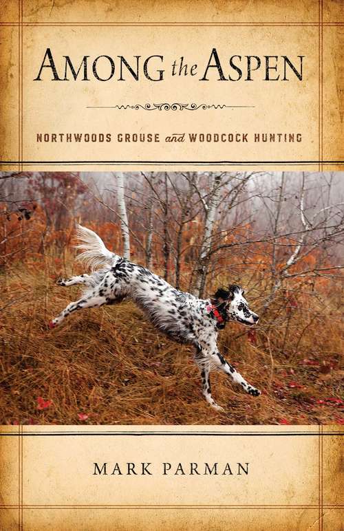 Book cover of Among the Aspen: Northwoods Grouse and Woodcock Hunting