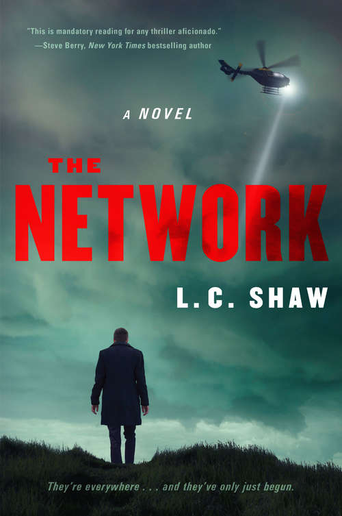 Book cover of The Network: A Novel
