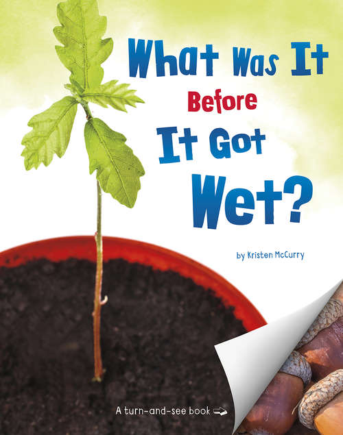 Book cover of What Was It Before It Got Wet? (What Was It?)