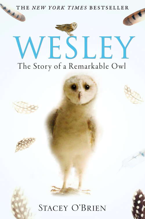 Book cover of Wesley: The Story of a Remarkable Owl
