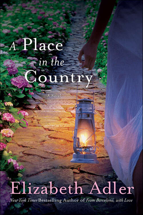 Book cover of A Place in the Country: A Novel