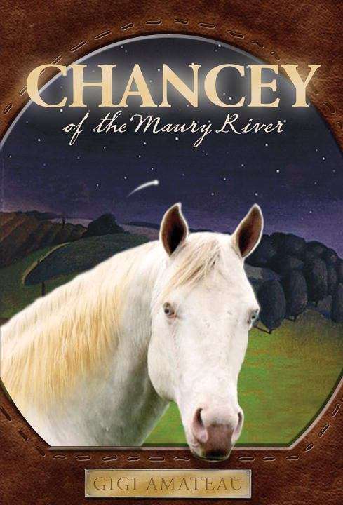 Book cover of Chancey of the Maury River