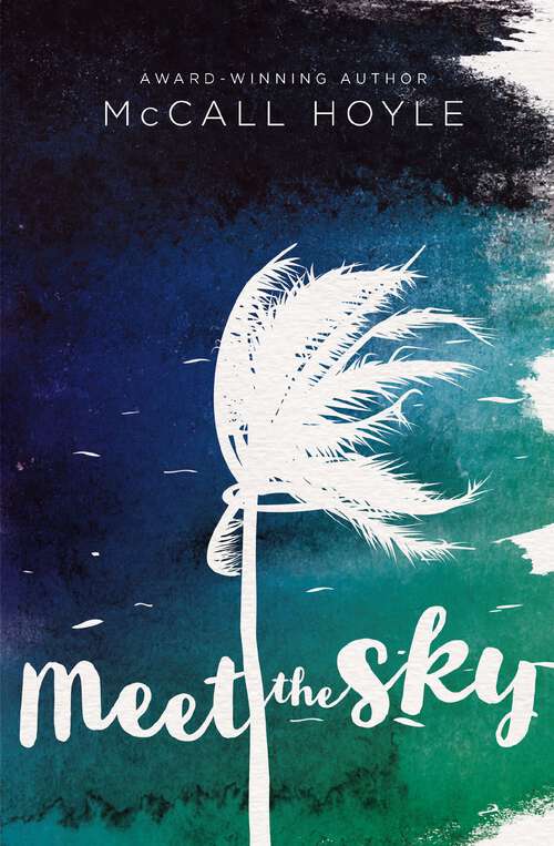 Book cover of Meet the Sky