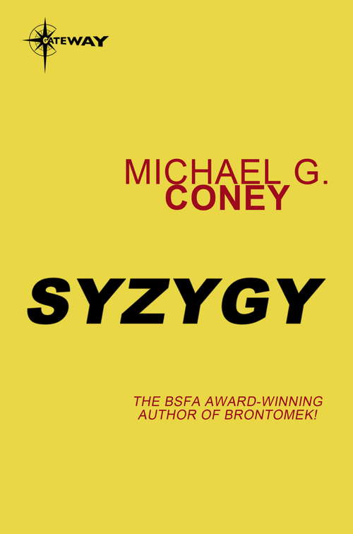 Book cover of Syzygy