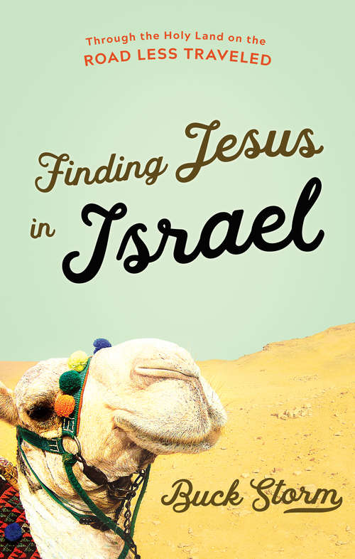 Book cover of Finding Jesus in Israel: Through the Holy Land on the Road Less Traveled