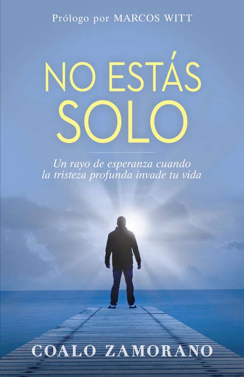 Book cover of No estás solo: Un rayo de esperanza cuando la tristeza profunda invade tu vida