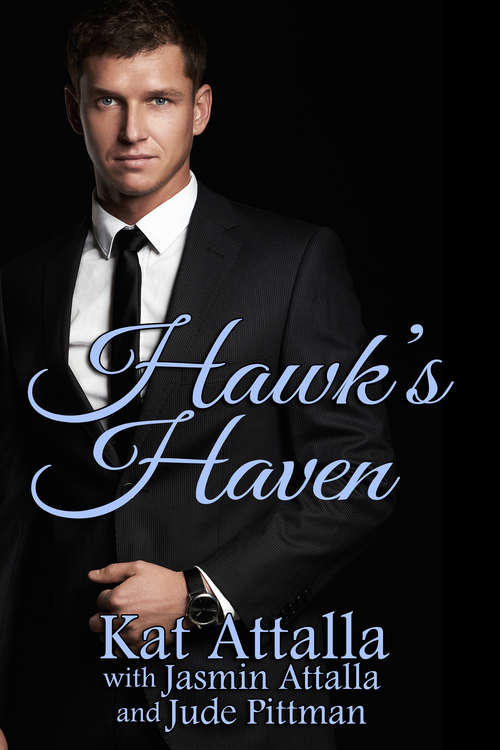 Book cover of Hawk's Haven