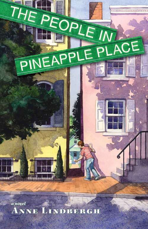 Book cover of The People in Pineapple Place