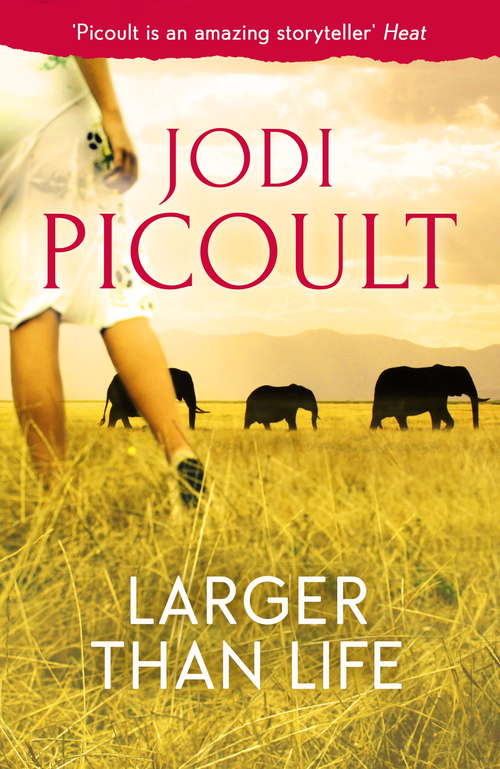 Book cover of Larger Than Life: A Novel