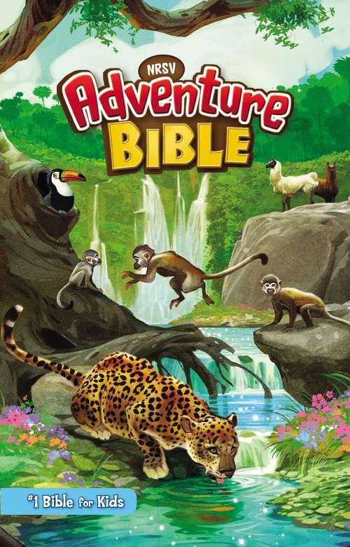 Book cover of NRSV Adventure Bible