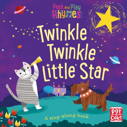 Book cover of Twinkle Twinkle Little Star: A baby sing-along book (Peek and Play Rhymes #4)
