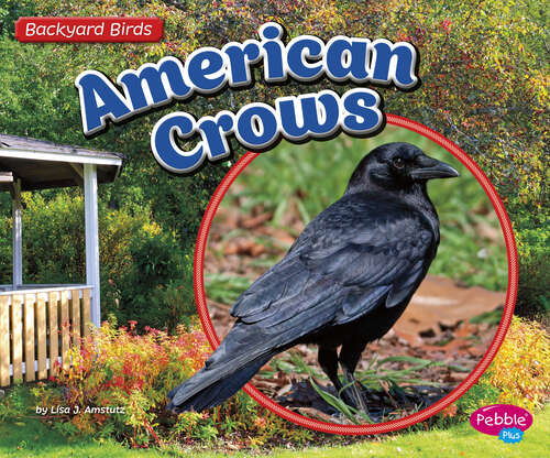 Book cover of American Crows (Backyard Birds Ser.)