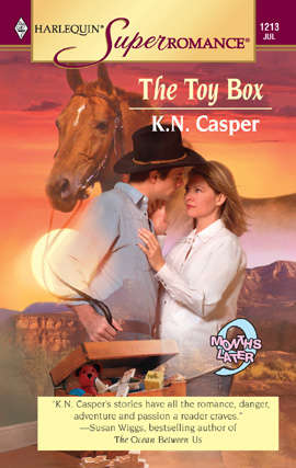 Book cover of The Toy Box