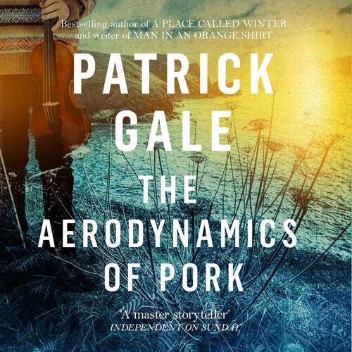 Book cover of The Aerodynamics of Pork