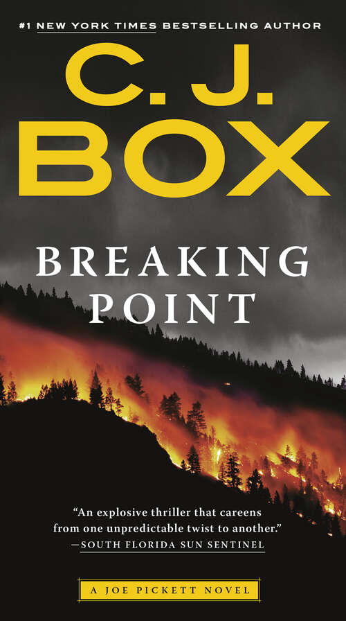 Book cover of Breaking Point (Joe Pickett #13)