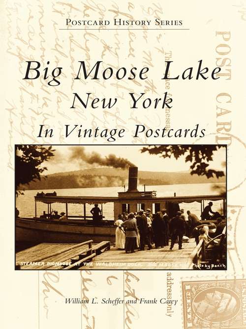 Book cover of Big Moose Lake, New York in Vintage Postcards (Postcard History)
