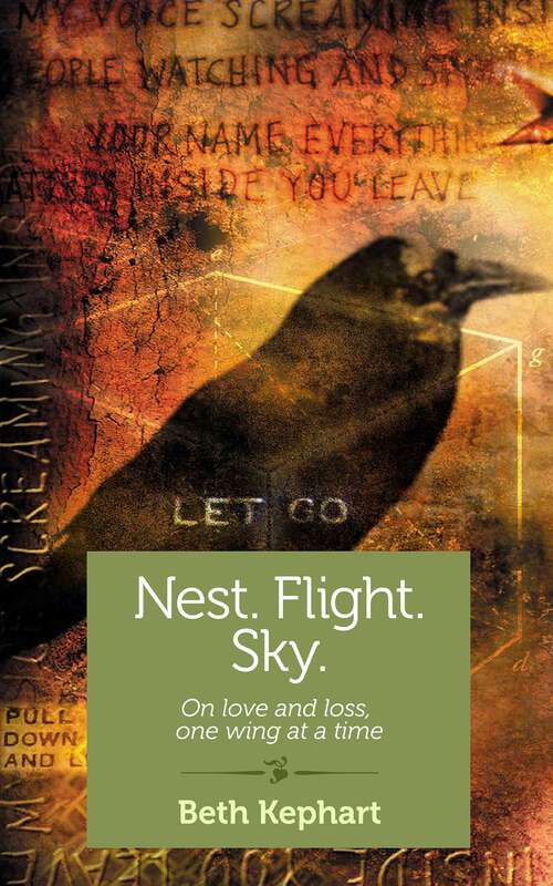 Book cover of Nest. Flight. Sky.: On Love and Loss, One Wing at a Time