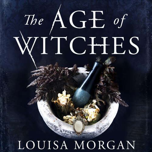 Book cover of The Age of Witches