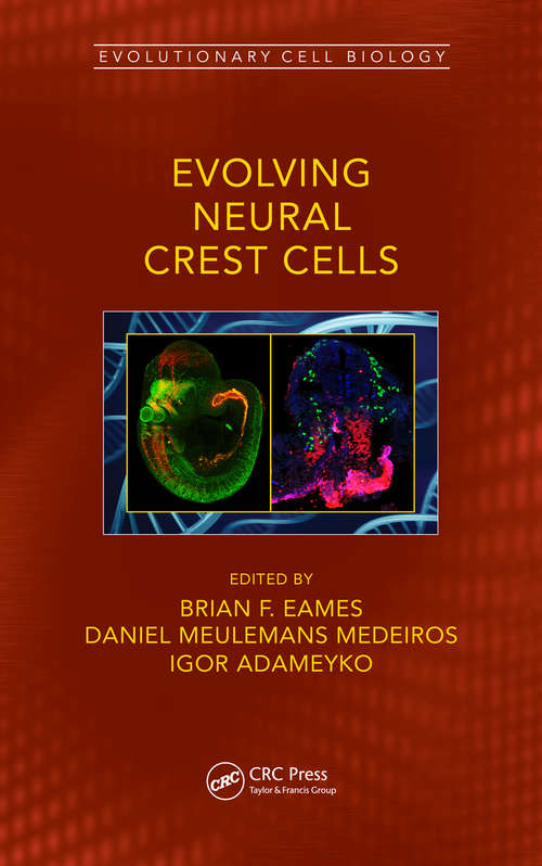 Book cover of Evolving Neural Crest Cells (Evolutionary Cell Biology)