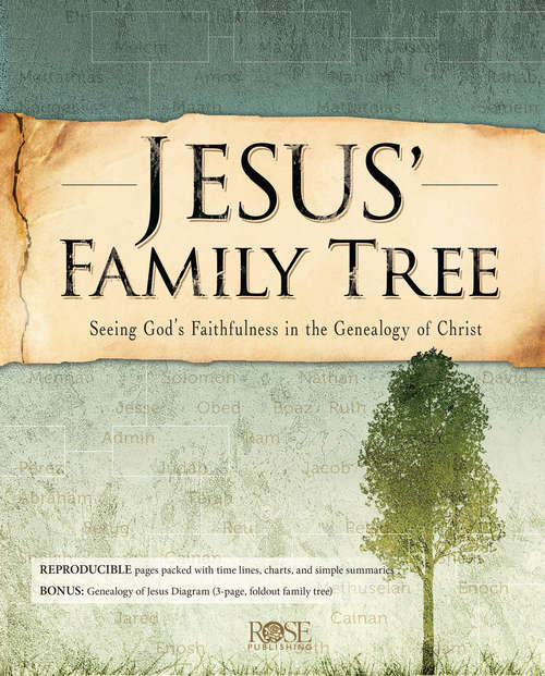 Book cover of Jesus' Family Tree: Seeing God's Faithfulness In the Genealogy of Christ