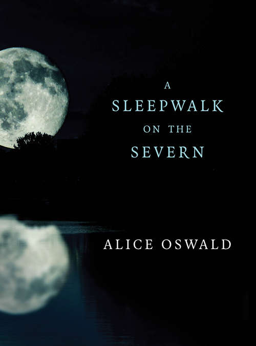 Book cover of A Sleepwalk on the Severn