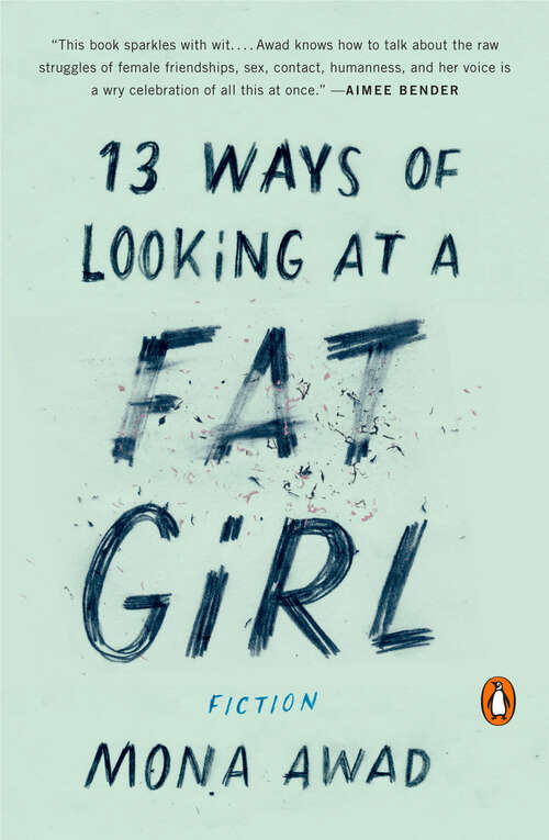 Book cover of 13 Ways of Looking at a Fat Girl: A Novel