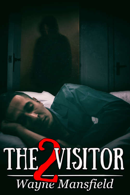 Book cover of The Visitor 2