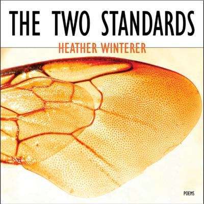 Book cover of The Two Standards