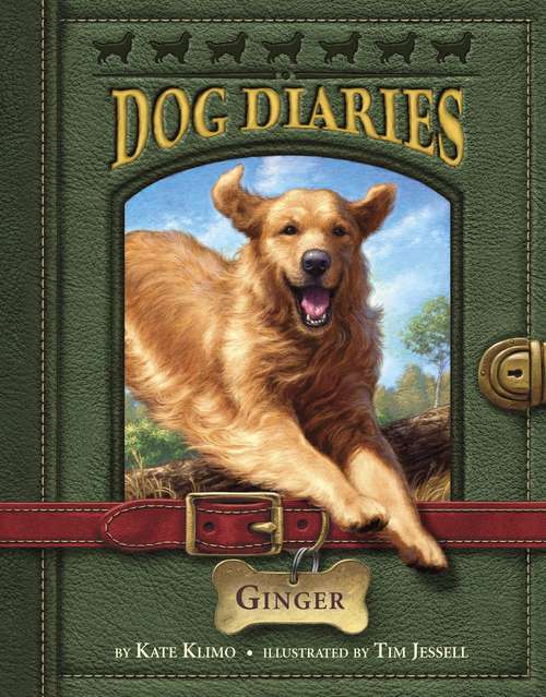 Book cover of Dog Diaries #1: Ginger (Dog Diaries #1)