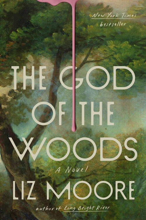 Book cover of The God of the Woods: A Novel