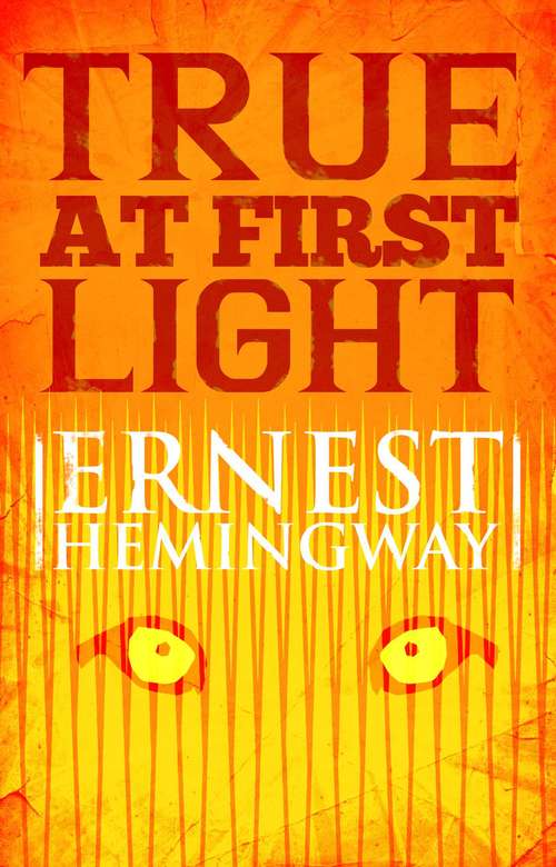 Book cover of True at First Light