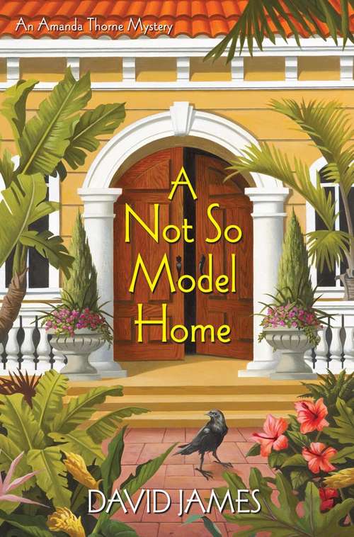 Book cover of Not So Model Home